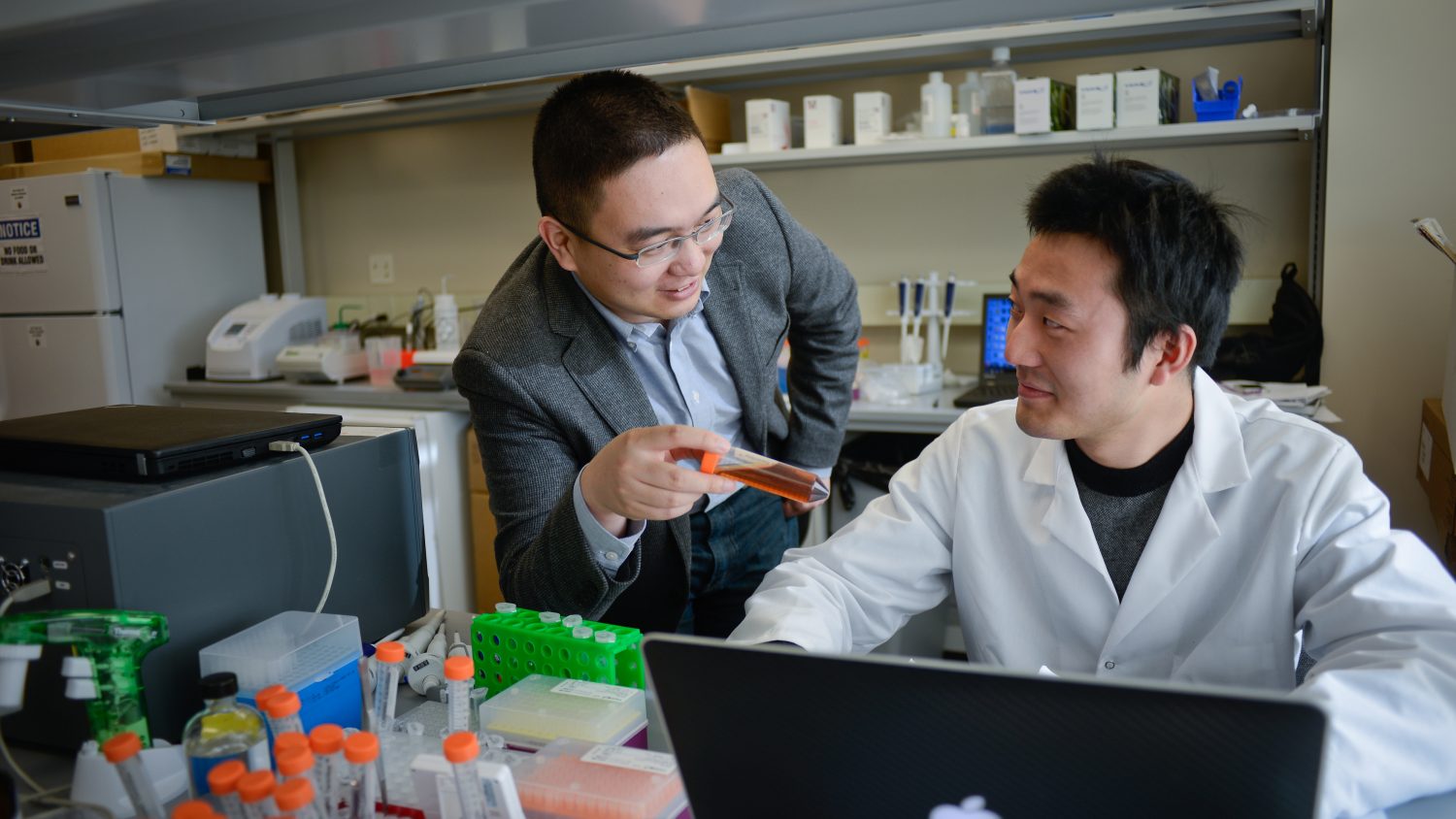 Students work in the lab with Dr. Zhen Zu on Centennial Campus. Photo by Marc Hall