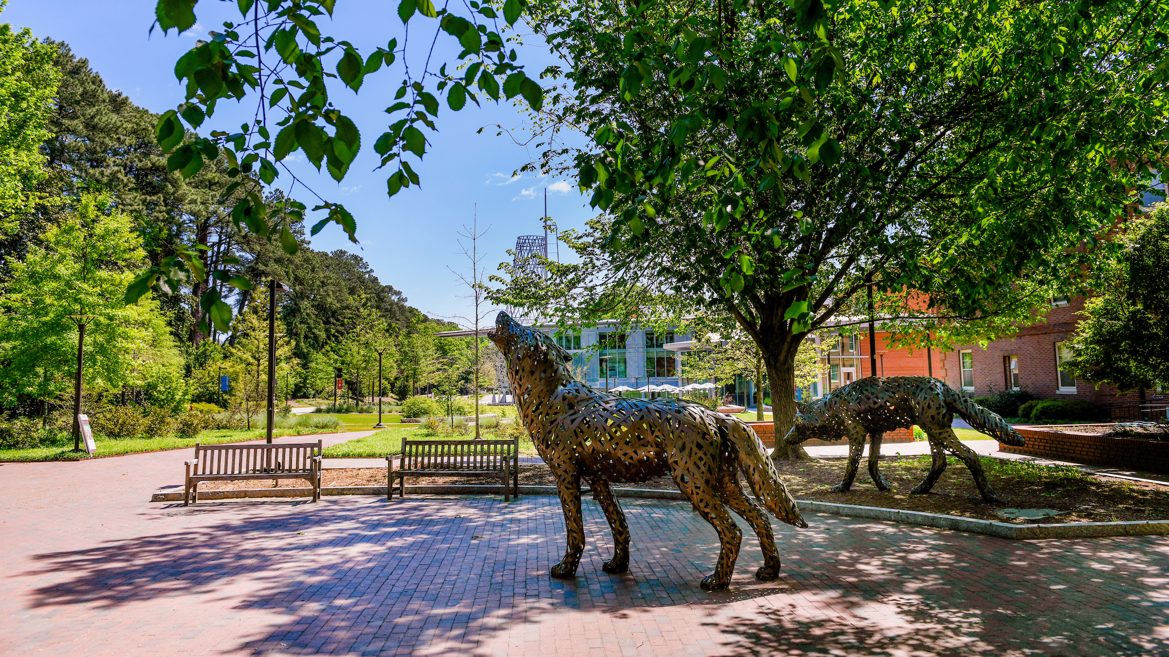 Copper wolves in front of Talley Student Union