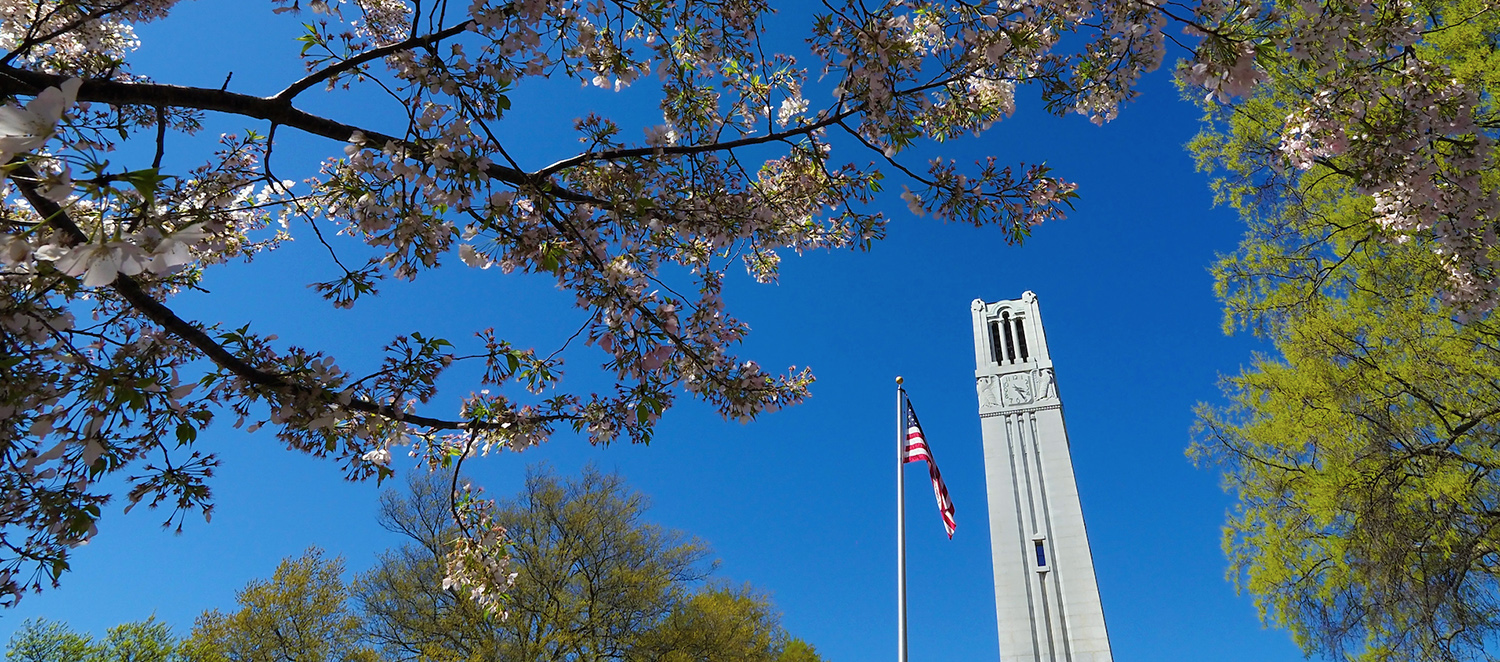 The NC&#160;State Belltower stands, surrounded by blooms of spring.