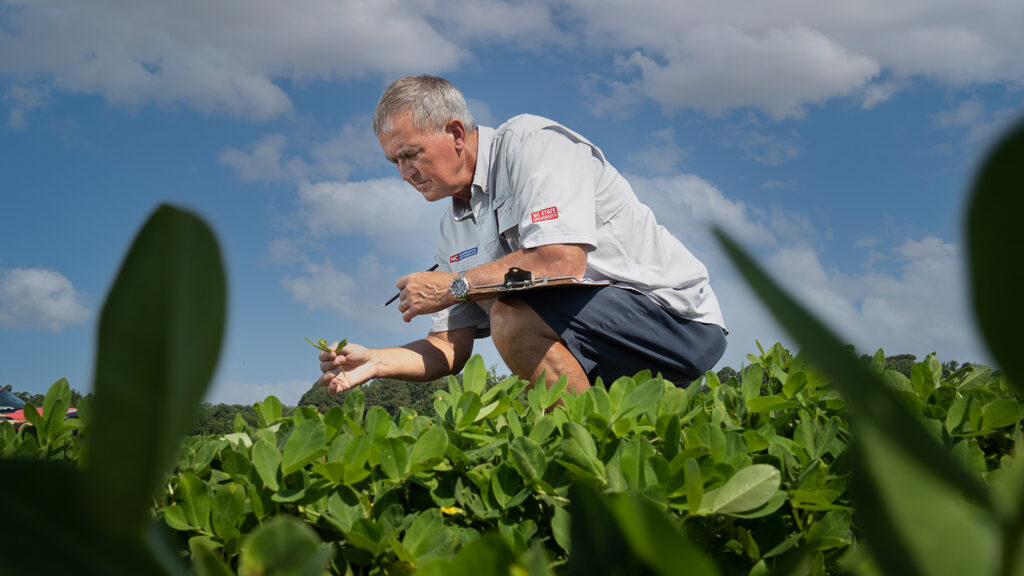 Dr. Rick Brandenburg, Extension Specialist