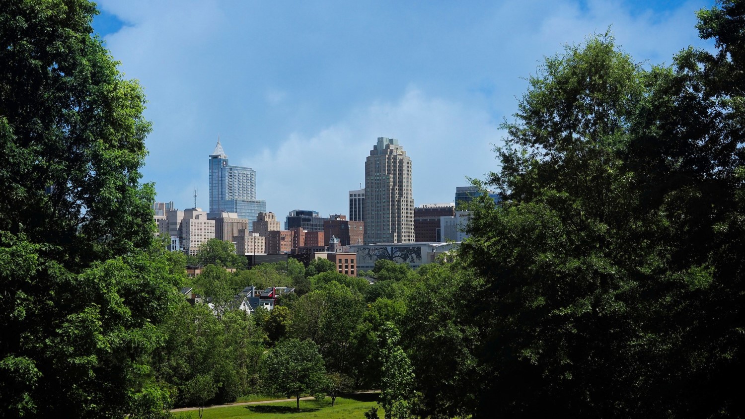 Raleigh Skyline