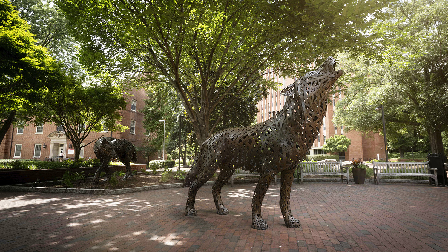 The copper wolves at Wolf Plaza near Talley student union