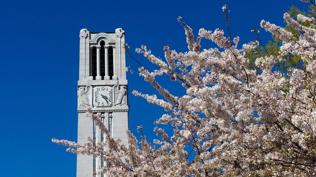 Belltower in Spring